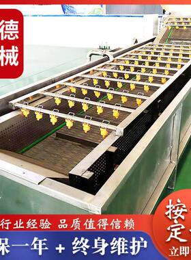 全自气泡清洗机  新疆大枣喷淋清洗机 气泡翻滚清洗设备厂家俞洋