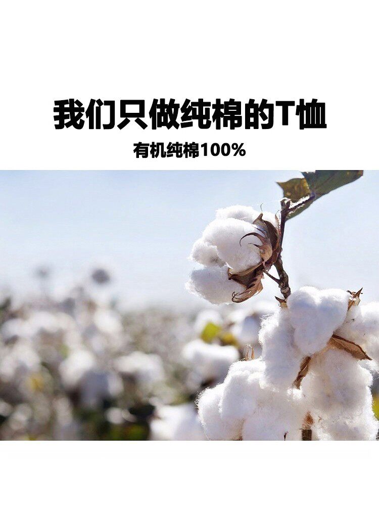  samack尚马克男装T恤