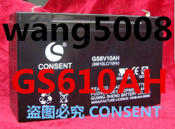 原厂CONSENT GS6V10AH (6M10LC/10HR)电子称 玩具车 地磅用蓄电池 - 图0