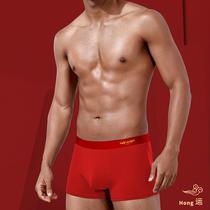 BentLife mens underwear mens underpants red pure cotton 100% full cotton crotch antibacterial boy flat corner shorts head