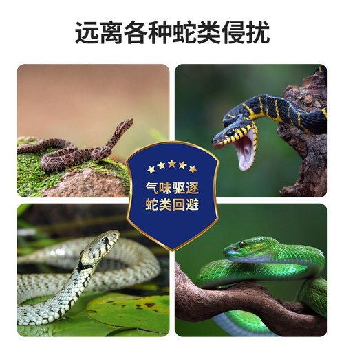 50斤雄黄驱蛇粉强力持久防蛇防雨水长效家用驱蛇神器庭院露营户外 - 图2