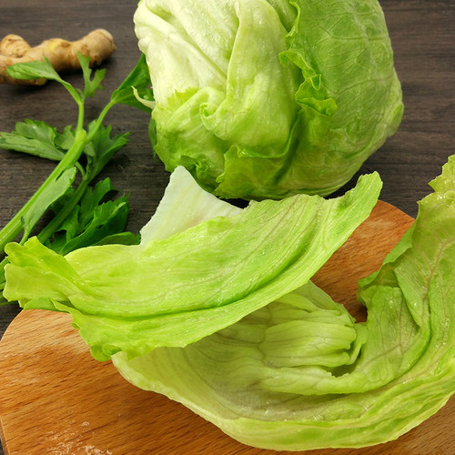 新鲜球生菜500g圆生菜球西餐汉堡即食沙拉食材火锅配菜 顺丰速运 - 图2