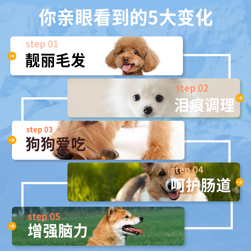 伯纳天纯狗粮1.5kg小型犬成犬泰迪比熊柯基去泪痕通用型犬粮10kg - 图2