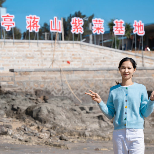 福建莆田紫菜 下蒋当季新货 农家手工日晒新货紫菜干货o - 图2