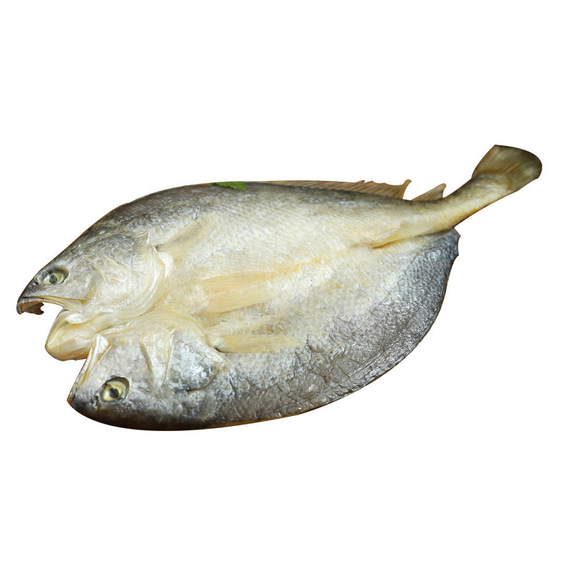 500g 500g