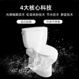 TOTO Умный туалет CW764RB+TCF2A910KCN/8132CS ТУАЛЕТ ТЕРНАЯ ВОДА (02)