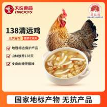 Tianong original species Qingyuan chicken 600g farmhouse scattered and raised chicken native chicken fresh chicken whole chicken for Hong Kong quality