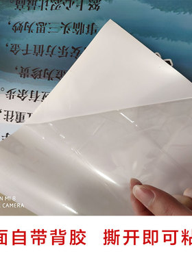 潘晓婷丁俊晖斯诺克装饰画明星