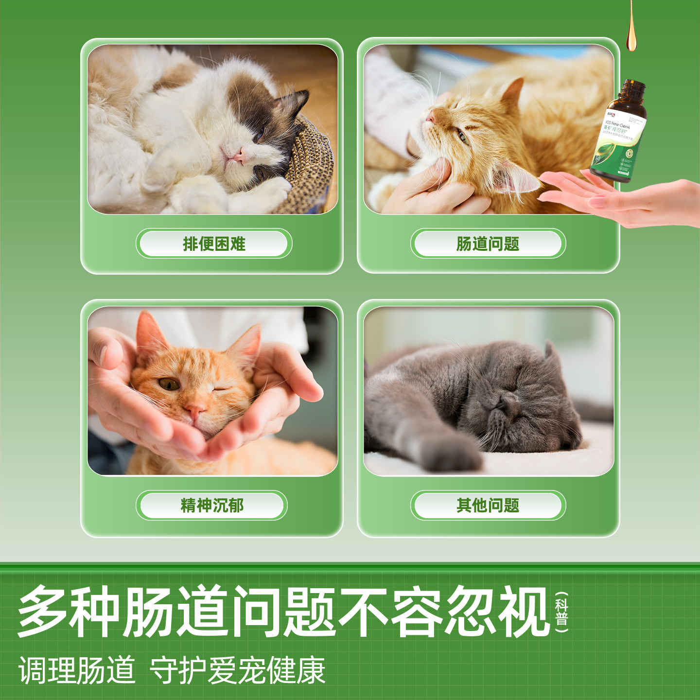 图 2