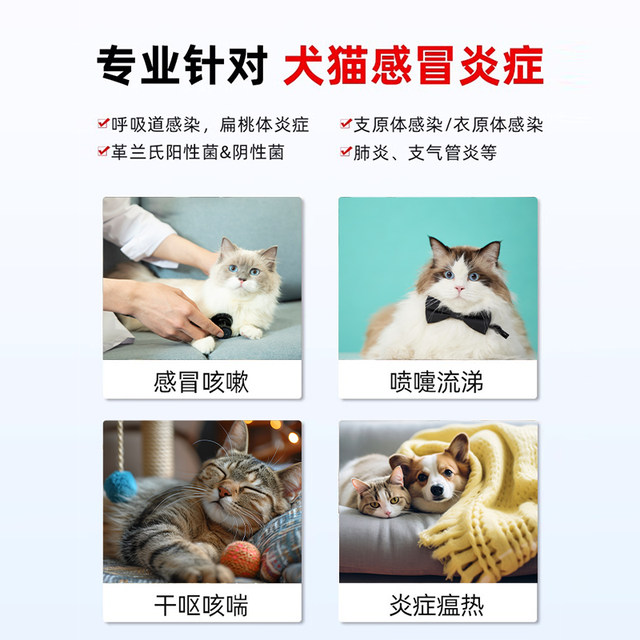 Sinodoxycycline tablets cold medicine for cats and dogs