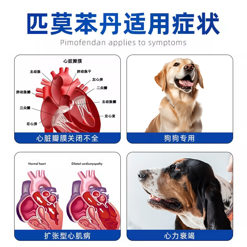 德国勃欣定匹莫苯丹5mg进口狗心脏肥大病心力衰竭咳嗽宠物 - 图0
