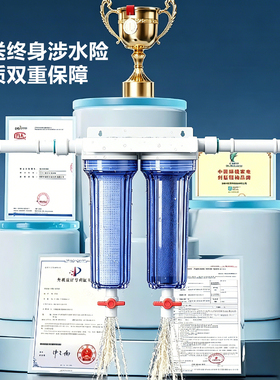 新款前置过滤器大流量全屋净水
