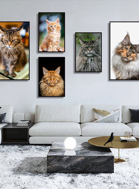 猫咪装饰画缅因猫写真小猫宠物店挂画猫咖装饰品画像墙面软装壁画