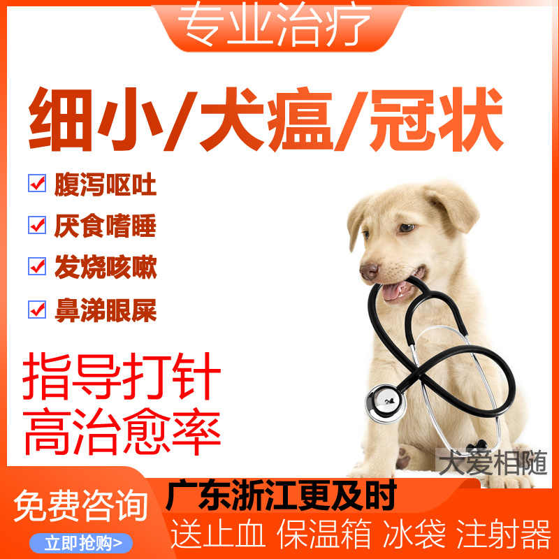 冠狀病毒狗 新人首單立減十元 22年3月 淘寶海外