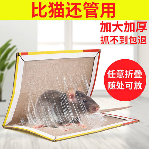 强力粘鼠板抓粘大老鼠贴沾胶笼灭捕鼠老鼠夹子强力正品家用一窝端 - 图0