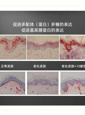 中国霖家提亮肤色改善细纹面霜