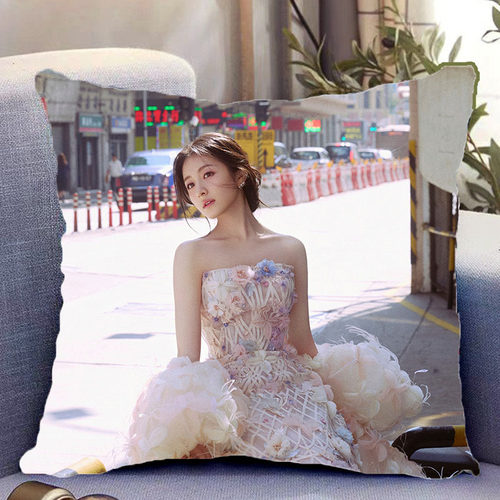 李兰迪周边双面抱枕人物照片同款靠枕靠垫带枕芯枕头套礼物可定制 - 图2