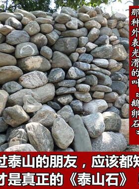 泰山石敢当室内室外办公室庭院青石饰品小摆件正宗天然泰山石25CM