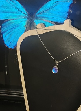 925银蓝闪蝶锁骨链女轻奢百搭