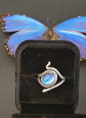 大蓝闪蝶真蝴蝶标本镀银戒指灵蛇精致ins设计生日礼物送女友