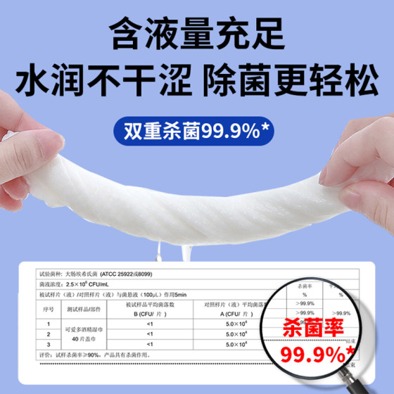 75% Alcohol Disinfectant Wipes Family Pack