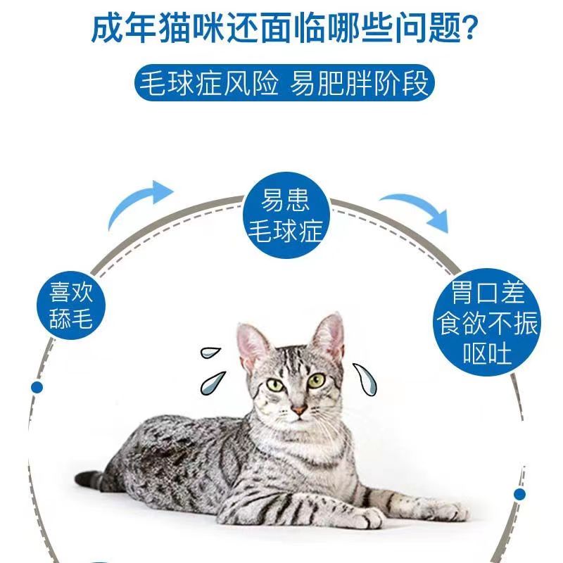 皇家猫粮室内成猫I27英短蓝猫美短布偶波斯猫通用型F32营养成猫粮 - 图2