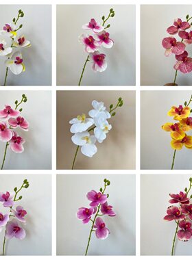 仿真花蝴蝶兰4头小单枝家居摆放婚庆插花DIY软装摄影装饰花兰花