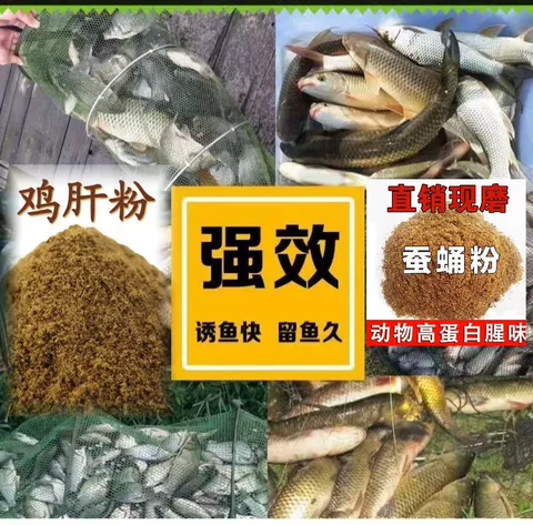 鸡肝粉钓鱼罗非鱼秋刀鱼鲮鱼鲶鱼福寿罗综合垂钓野钓钓鱼饵添加剂 图片 3