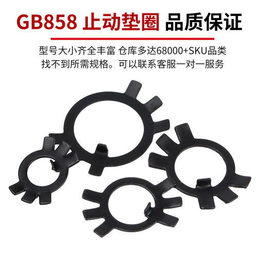 GB858铁圆螺母用止退垫圈六爪垫圈止动垫片锁紧垫圈锁片Φ10-Φ60 - 图1