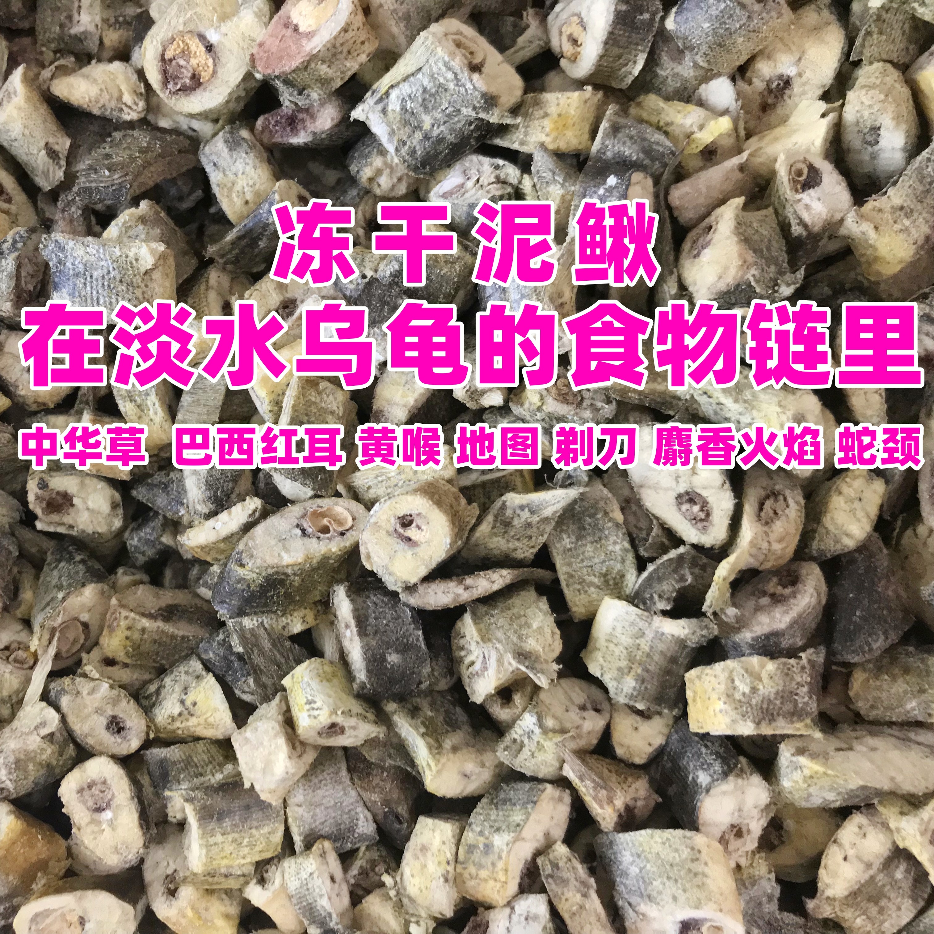 淡水小鱼干龟粮乌龟粮冻干鱼无盐巴西龟鳄龟草龟泥鳅仓鼠粮宠物粮,淘宝优惠券,粉丝福利购,淘宝优惠卷