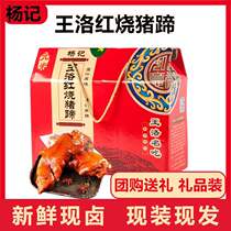 Henan Wang Lo 1 catty of front hooves with gluten red-burning five-spice-spicy sauce halogen pig hogs vacuum packed with snacks