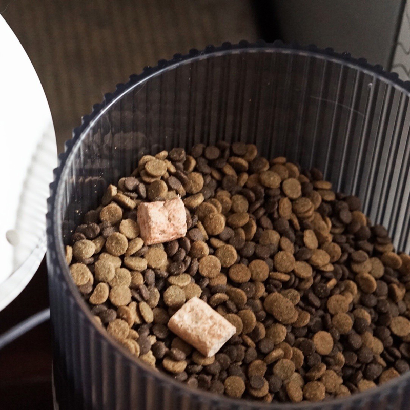 鸟语花香mini智能自动喂食器猫咪狗狗猫粮狗粮定时定量宠物投食机 - 图2