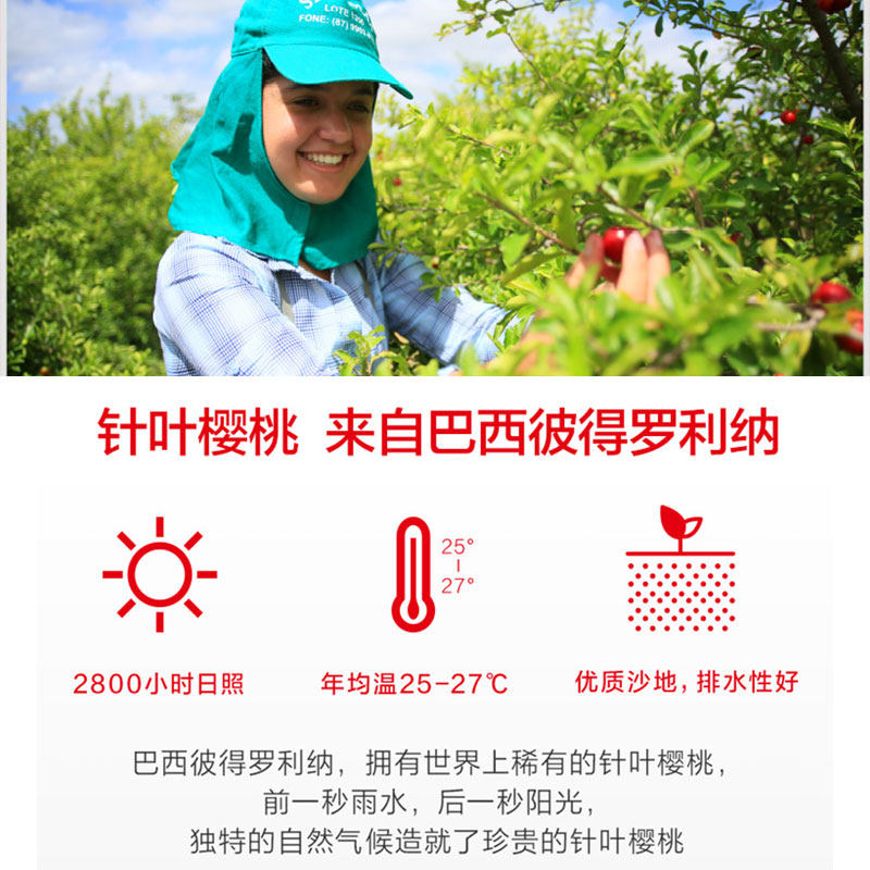  真心善美大药房维生素/复合维生素