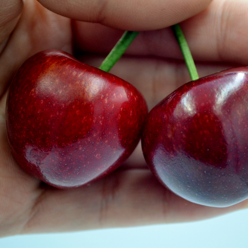 山东烟台大樱桃国产车厘子新鲜水果脆甜美早孕妇儿童现摘布鲁克斯,淘宝优惠券,粉丝福利购,淘宝优惠卷