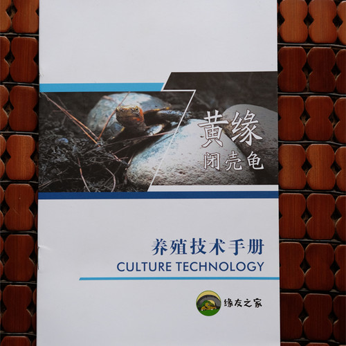 【缘友之家】黄缘闭壳龟养殖指导手册 入门新手指导书（简化版） - 图1