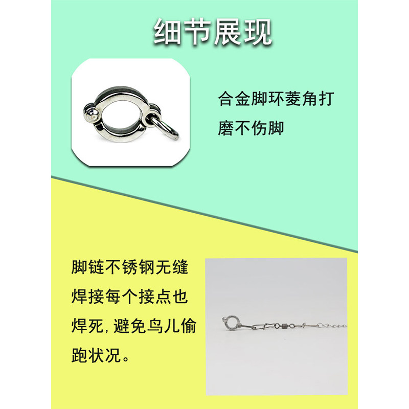 不锈钢鹦鹉放飞绳脚链不伤脚脚环活扣超轻虎皮牡丹玄凤专用防脱扣,淘宝优惠券,粉丝福利购,淘宝优惠卷