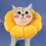 Кошка Элизабет мягкий воротник кошачий кошка стыд круговой круг солнца цветочниц вокруг шеи, чтобы предотвратить облизывание котят.