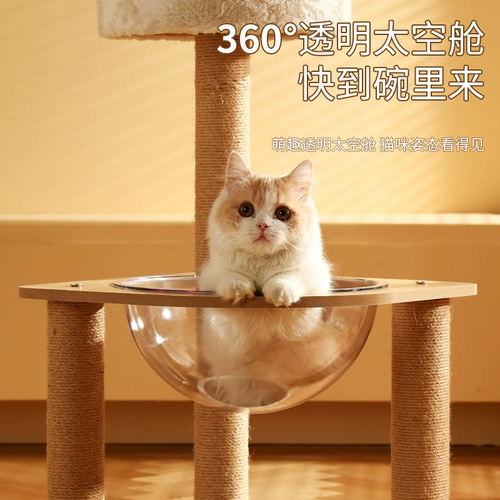 Мечи и маджи кошка кошка кошка мокрое пространство для кошачьего диван диван с борьбой с кошкой, захватываемыми плавами