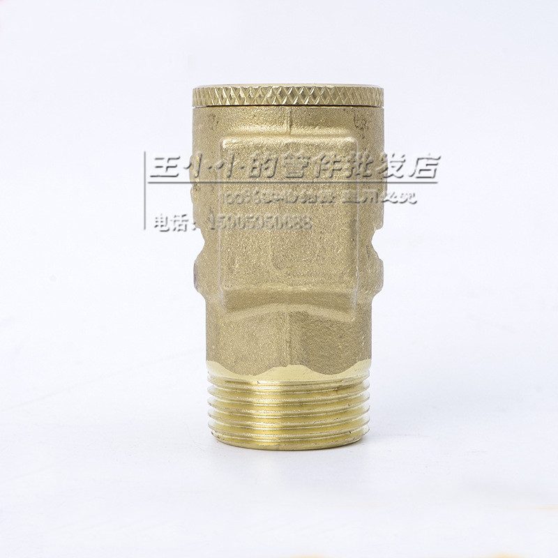 全铜真空破坏阀 消防管道外丝螺纹丝口吸气阀 排压负压排气消除器 - 图2