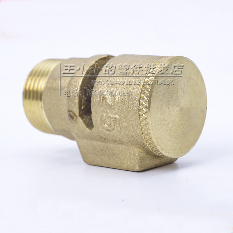 全铜真空破坏阀 消防管道外丝螺纹丝口吸气阀 排压负压排气消除器 - 图1