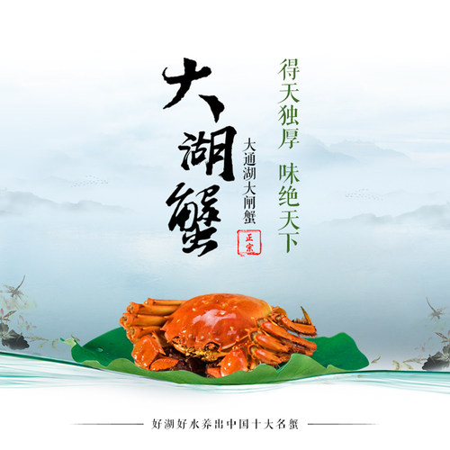 湖南益阳大通湖区横霸大闸蟹鲜活水产螃蟹海鲜全母10只礼盒装 - 图0
