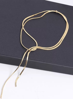 抽拉式项链女小众轻奢设计高级感蛇骨链简约百搭颈链长款毛衣链