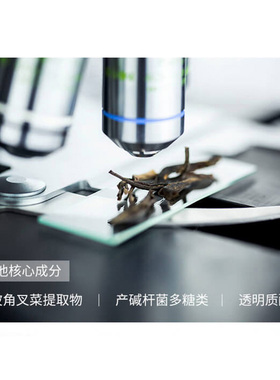 茶灵弹力丰盈精华水正品
