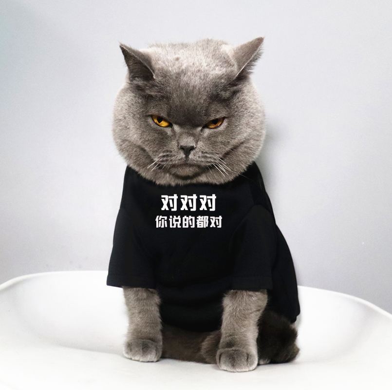 宠物猫咪比熊卫衣小狗衣服猫咪衣服春夏薄款T恤防掉毛你说的都对