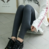 Демисезонные хлопковые утепленные леггинсы, термобелье, зимние штаны, 2019, в корейском стиле, осенние