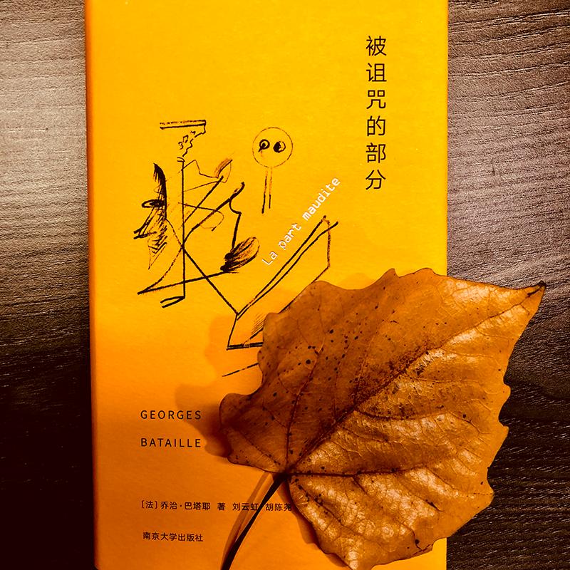 被诅咒的部分 （法）乔治·巴塔耶 著 刘云虹//胡陈尧 译 经济理论 wxfx - 图1