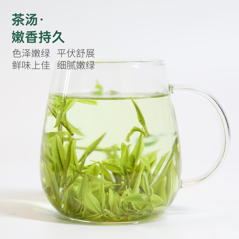 大山坞安吉白茶2024新茶明前茶叶特级珍稀正宗绿茶春茶50g4星 - 图1