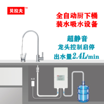 Electric Water Absorber Barreled Water Pump Automatic Water Feeder Barreled Water Pumping Pump Small Household High Power