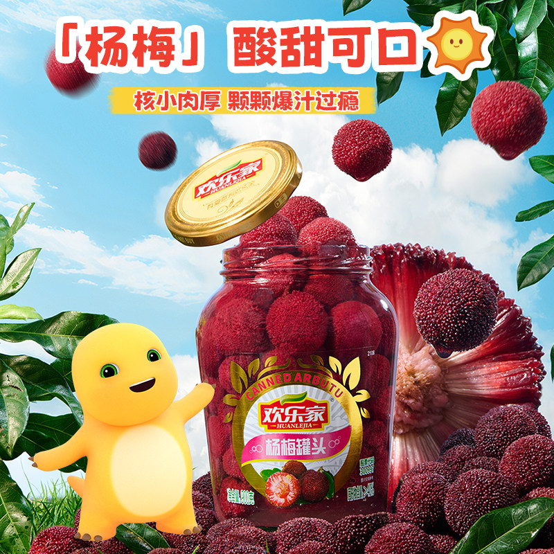 欢乐家 水果罐头900g大瓶装 杨梅山楂雪梨橘子黄桃罐头水果整箱,淘宝优惠券,粉丝福利购,淘宝优惠卷