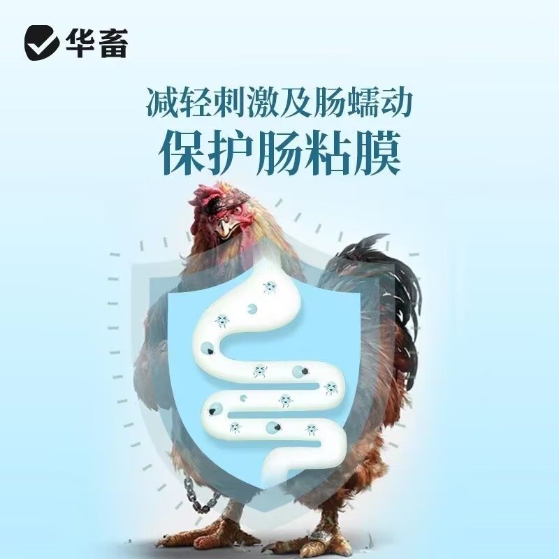 禽用腺肌胃清鸡鸭鹅鸽子鹌鹑腺胃康兽用胃康灵鸡用饲料添加剂,淘宝优惠券,粉丝福利购,淘宝优惠卷